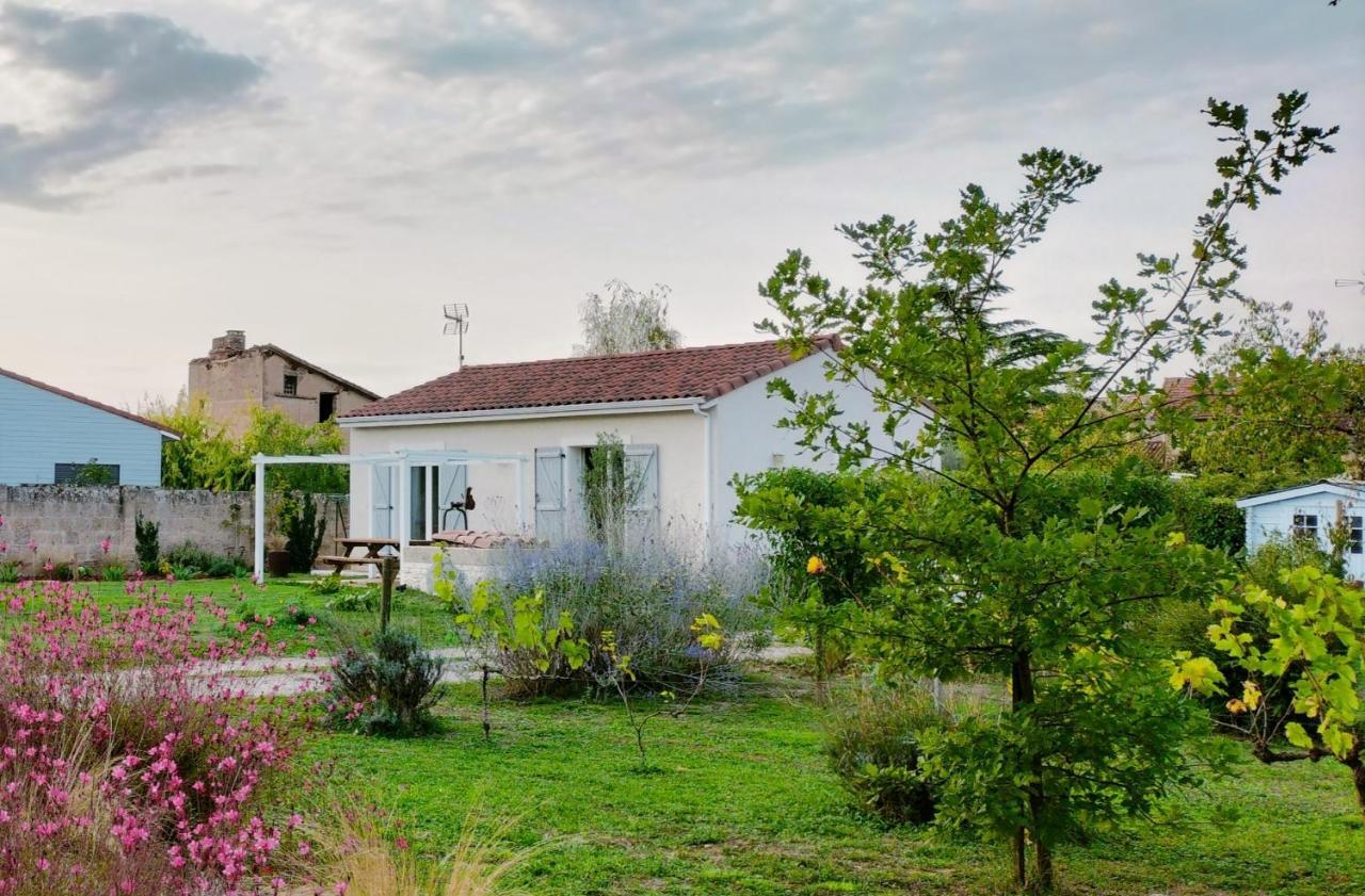 Gite Le Cherche Midi Gaillac Bagian luar foto