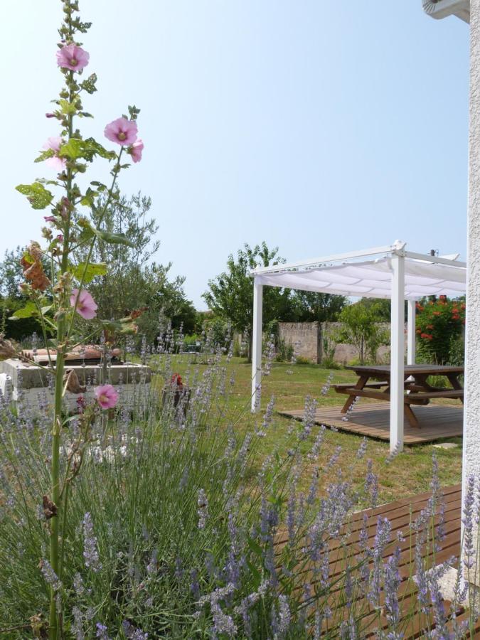 Gite Le Cherche Midi Gaillac Bagian luar foto